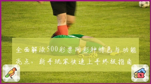全面解读500彩票网彩种特色与功能亮点，新手玩家快速上手终极指南