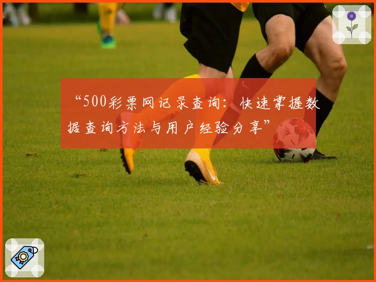 “500彩票网记录查询:快速掌握数据查询方法与用户经验分享”
