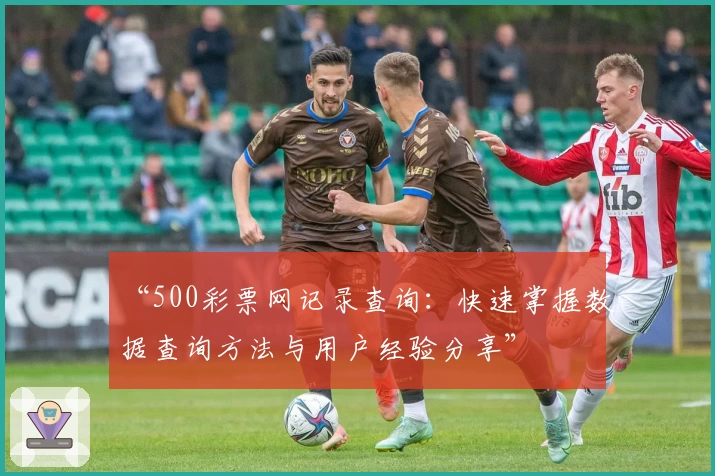 “500彩票网记录查询：快速掌握数据查询方法与用户经验分享”