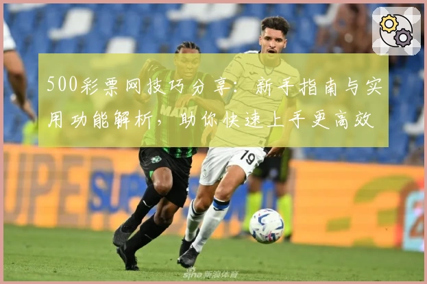 500彩票网技巧分享:新手指南与实用功能解析,助你快速上手更高效