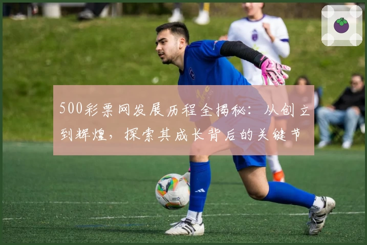 500彩票网发展历程全揭秘：从创立到辉煌，探索其成长背后的关键节点